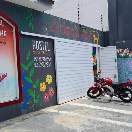 "Le Chat Qui Peche" Hostel A 150 Metros Da Praia De Pajucara Масейо Экстерьер фото